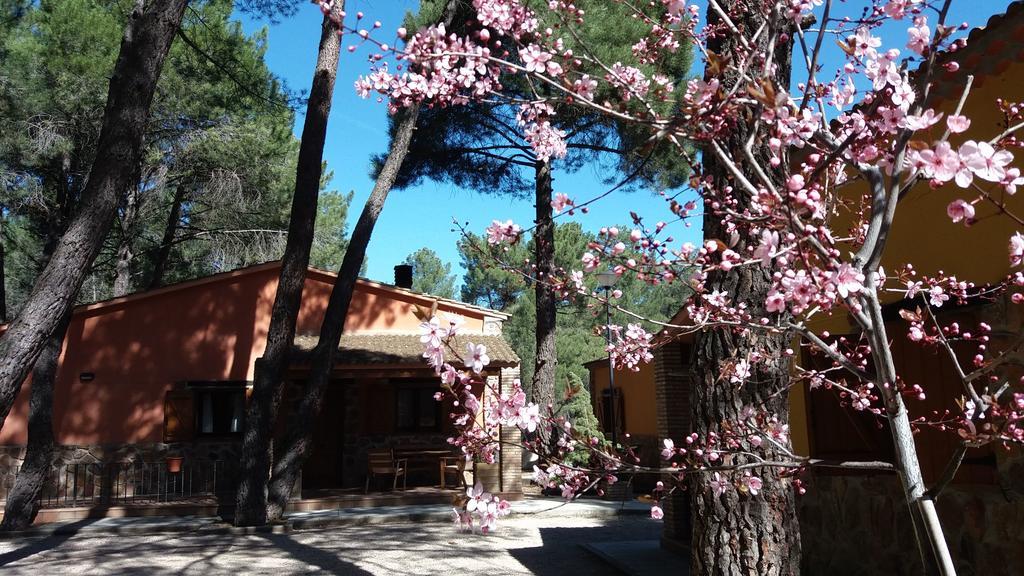 فندق Rural Arco Iris Cuenca كوينكا المظهر الخارجي الصورة